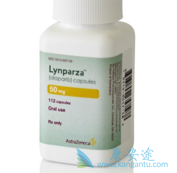 ��������İ�ȫ�������������