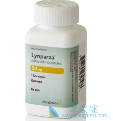 �����мӰ�����������Ӷ�����