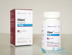 �԰�����������ӳ��������