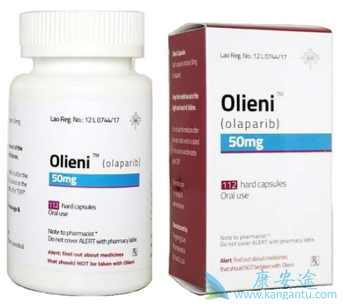 ��������ȼ�����������������PFS