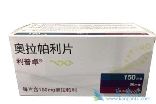 ���������뻯��������ʲô����