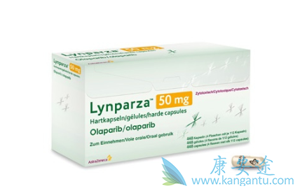 �������������BRCAͻ���ҩ��