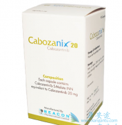 ����������ô�������