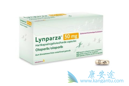 ��μ������������������Ⱥ