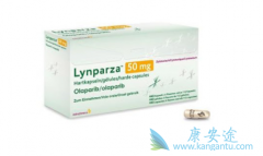 ǰ���ٰ��԰�������ļ��ʴ���