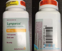 �԰�����������BRCAͻ����