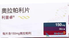 ��������ʲôʱ����