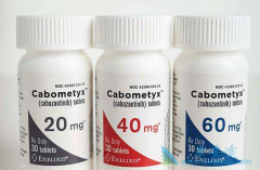 ��������Ƭ����Ч������