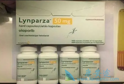 ������������һ����������