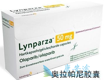 ��������ά��������ʲô��˼