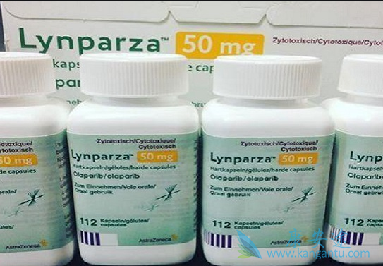 ���������ܽ��Ͷ��ٸ�������