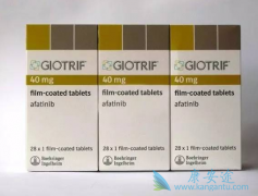 ��������Ч������