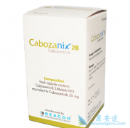 ����������ʲô����