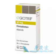 ����������ʲô�½�չ