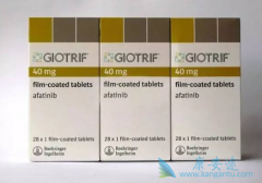 �������������˳����������