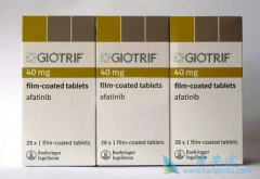 ���������ǲ������ErbB��ͥ���ͼ�