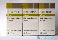 ���������ҩ������