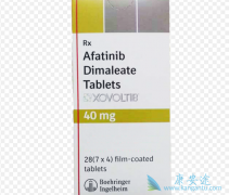 ����������ERBB2ͻ���еĻ���