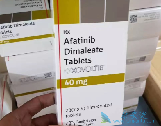 ���������ERBB���Ի��ߵ���Ч