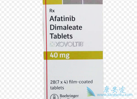 ��������ѡ��������