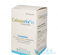 ���������ڰ��װ��������о�