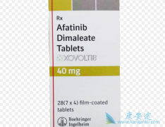 ���������9291�ĸ���