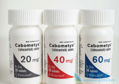 ����������������ڸΰ���������