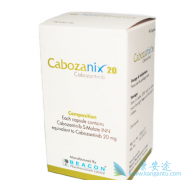 �����������������������������е�ҩ������ѧ