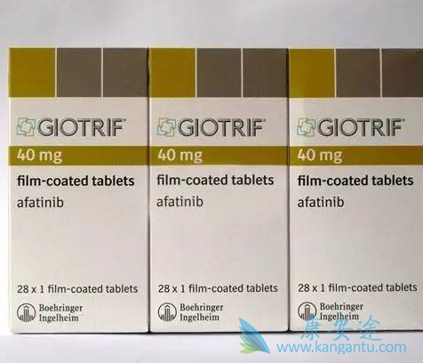 ���������ѪҩŨ����ʳ��Ӱ����