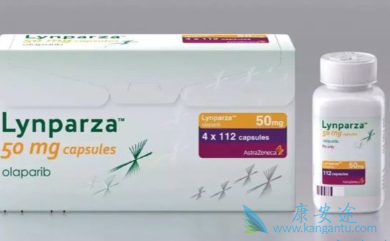 Ϊ�ΰ�������Ƭ�Ƚ���������