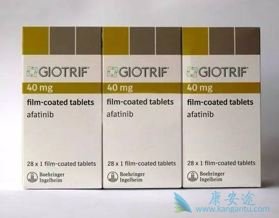 ���������ϸ����������