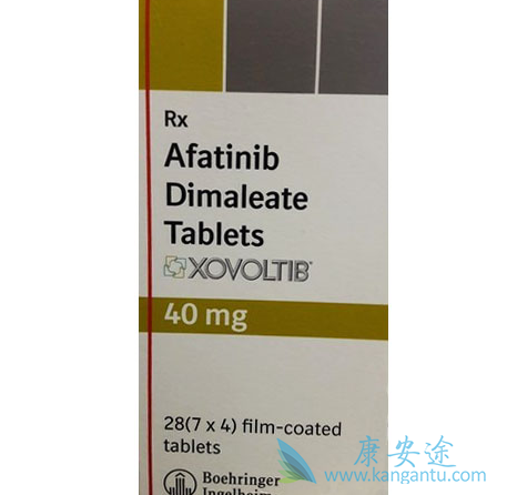 ��������������������Ч�Ա�