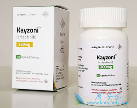 ���������������ڼ��������