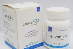 �����������ַ�����