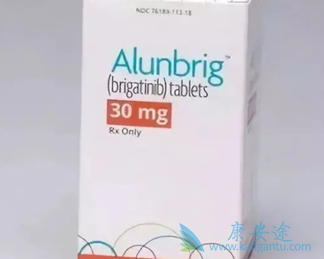 ��������������ALK������ĸϸ������