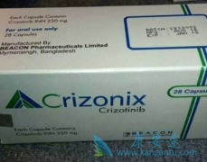 ������Ŀ�������