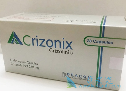 ���������Ч����