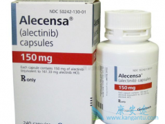 ����������Ƽ������Ƕ���