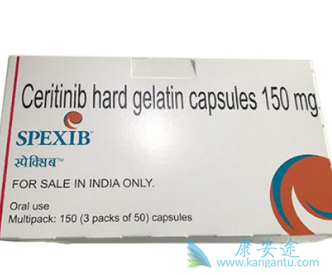 ���������ȫ������