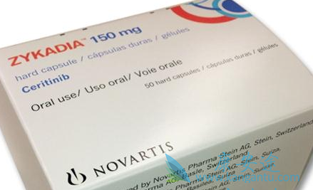 ������������ʲô