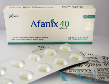 ����������ʲô����