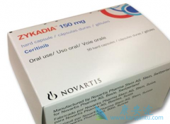 ��������ĸ����о�����