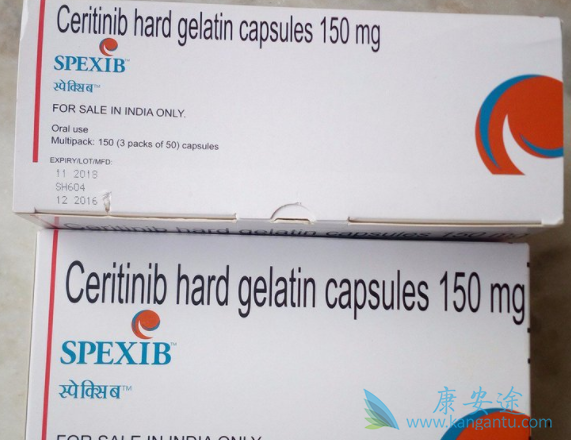 ����������ٴ�����