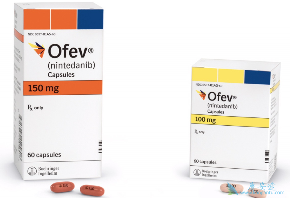 ����᲼�ձ���������