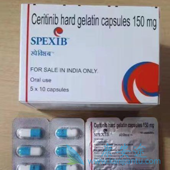 ��������Բ�ͬ��ϸ���Ļ���