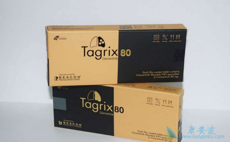 ��ϣ��������LMC����С��ģ�͵Ľ�չ