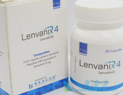 �ط�����