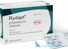 ��������/�׵���˹����ǿ�����������Ŀ���������