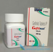 ��������(Gefitinib)��ҩ��NSCLC�����ưе�