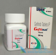 �Ƚϼ�������(GEFITINIB)���ϻ����뵥�����Ƶ���Ч�Ͱ�ȫ��